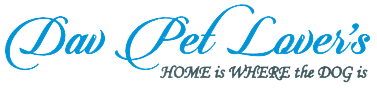 Puppies Pet Shop in Delhi Ncr - Dav Pet Lovers