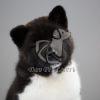 Akita Puppy for Sale