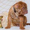 French Mastiff Puppy - Dav Pet Lovers