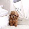 Dav Poodle Puppy in Brown - Dav Pet Lovers